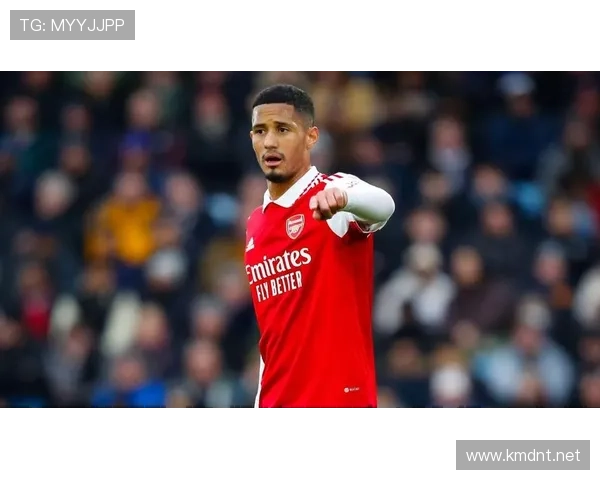 阿森纳冠军气质状况:正在经历重要阶段检验,对争冠走势产生关键影响 阿森纳冠军气质状况:正在经历重要阶段检验,对争冠走势产生关键影响